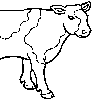 vaca.gif